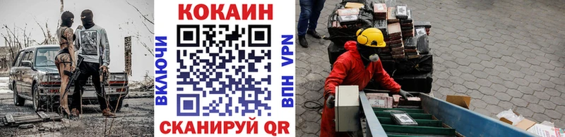 купить закладку  Новозыбков  COCAIN 99% 
