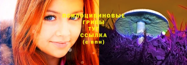 прущая мука Алзамай