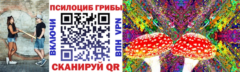 Псилоцибиновые грибы MAGIC MUSHROOMS  как найти закладки  Новозыбков 