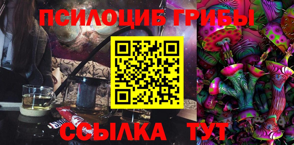 Псилоцибиновые грибы прущие грибы  Вход с VPN  Новозыбков 