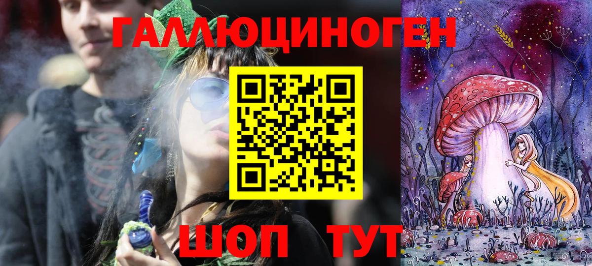 Галлюциногенные грибы прущие грибы Новозыбков