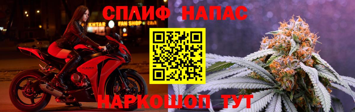 Бошки Шишки конопля  Вход с VPN  Бошки Шишки тримм  Новозыбков 
